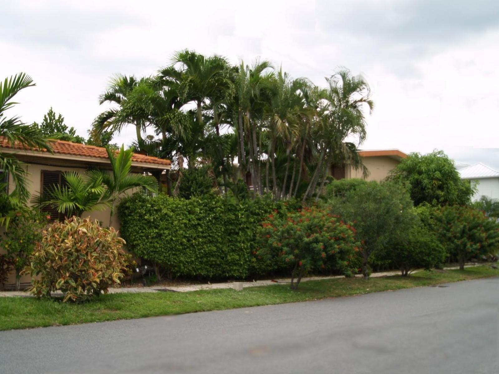 Parkview Motor Lodge West Palm Beach Ngoại thất bức ảnh